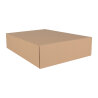 DHL Kleinpaket 229 x 162 x 80 mm (Faltkarton)