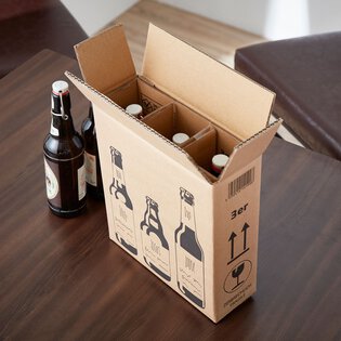 Bierflaschenversandkarton 3er mit PTZ-Zulassung DHL