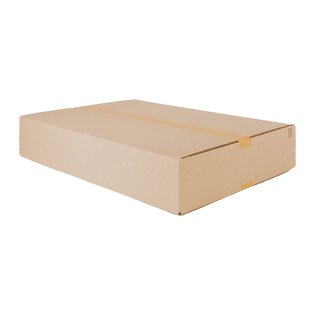 Graspapierkarton 600 x 450 x 100 mm (2-wellig)-1