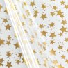 Klarsichtbeutel f�r 1 Flasche 500 x 180 mm (Sterne Gold)-2