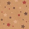 Pr�sentkarton Natura Stars f�r 3 Flaschen 360 x 250 x 90 mm-2