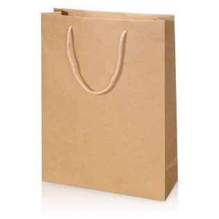 Geschenktüte "Natura Kraftpapier" für 3 Flaschen 270 x 85 x 360 mm